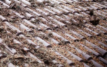 Dudleston Heath roof cleaning companies